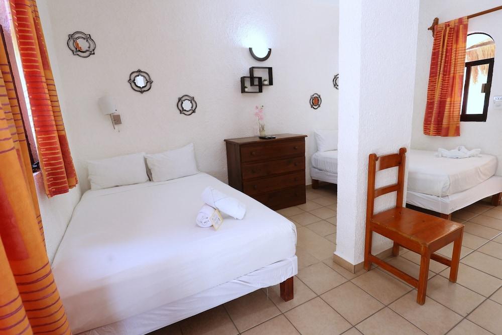 Hotel Bosque Caribe , 5th Av Zone