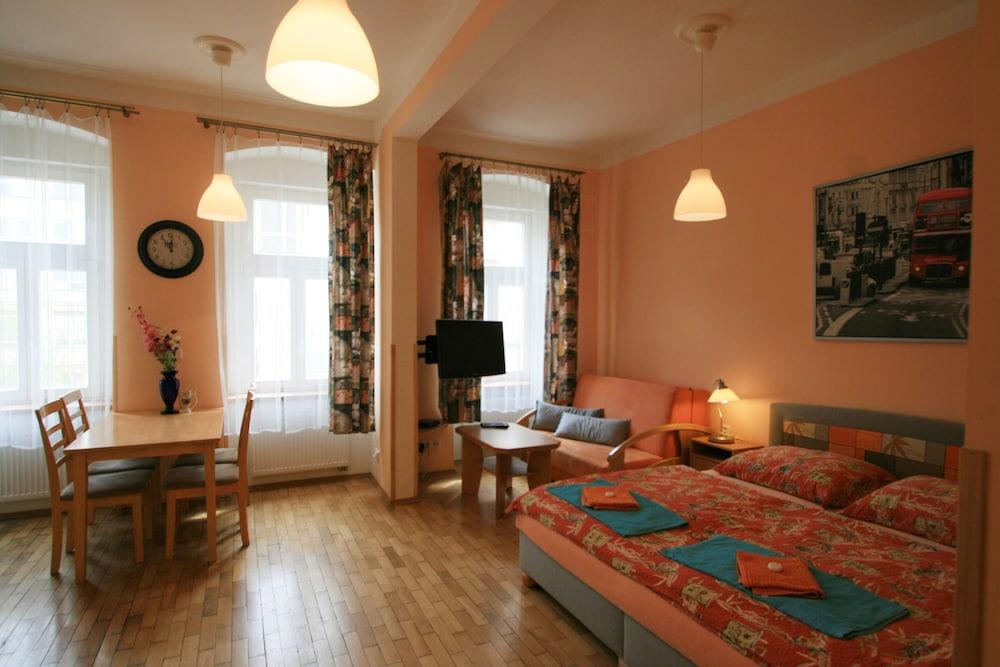 Apartment No. 22 Zeyerova 15