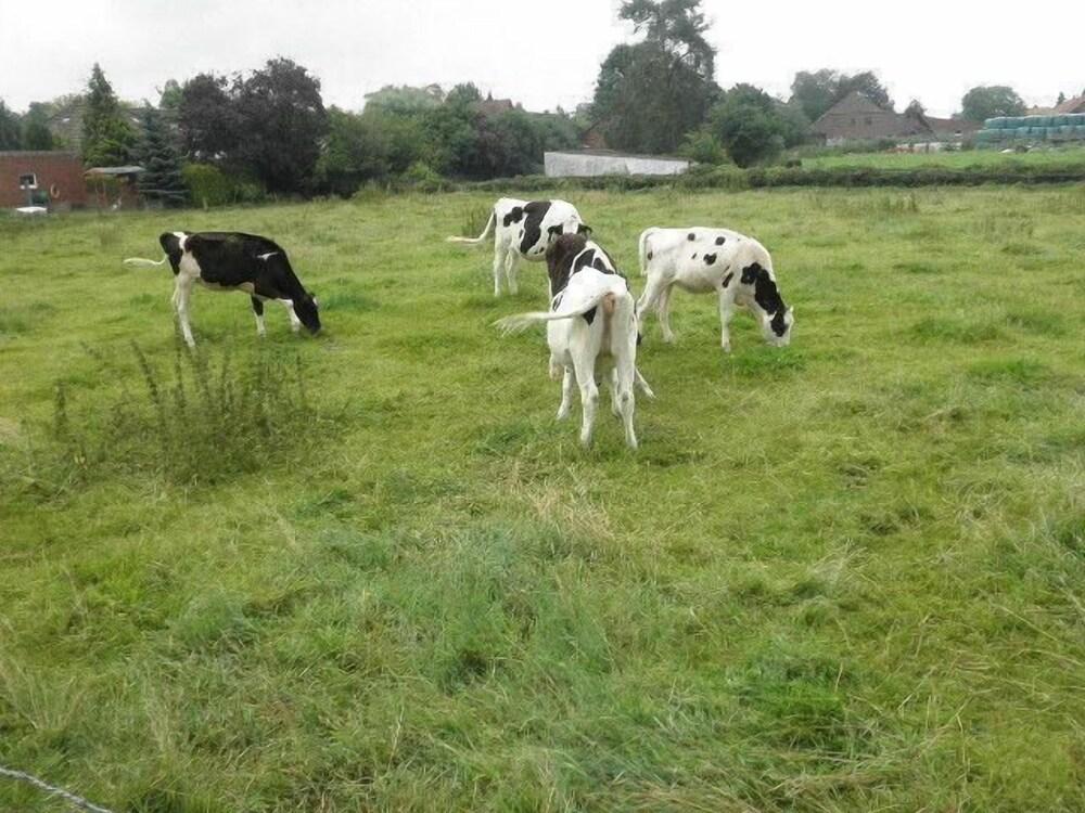 Haus Lotte Wohnung 2