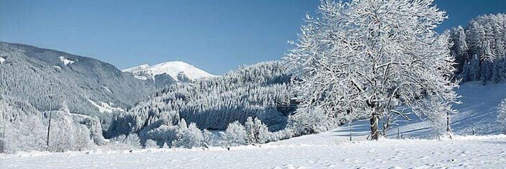 Hotel Am Gisselgrund