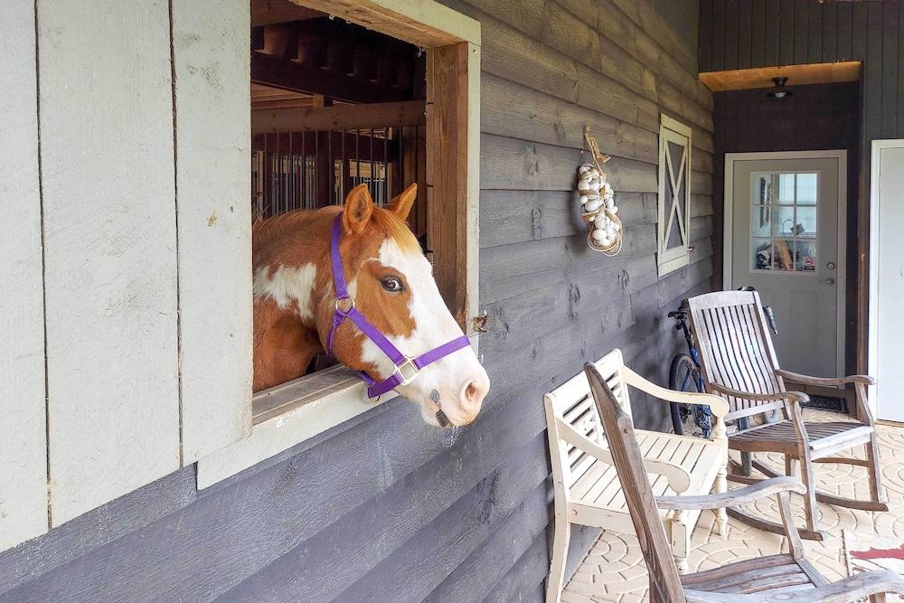 Rustic & Authentic Farm Stay by Dupont Forest!